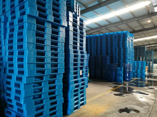 Customization Options